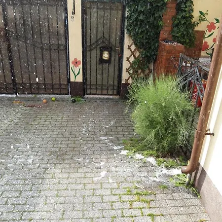 Papas Bucurestii Noi *